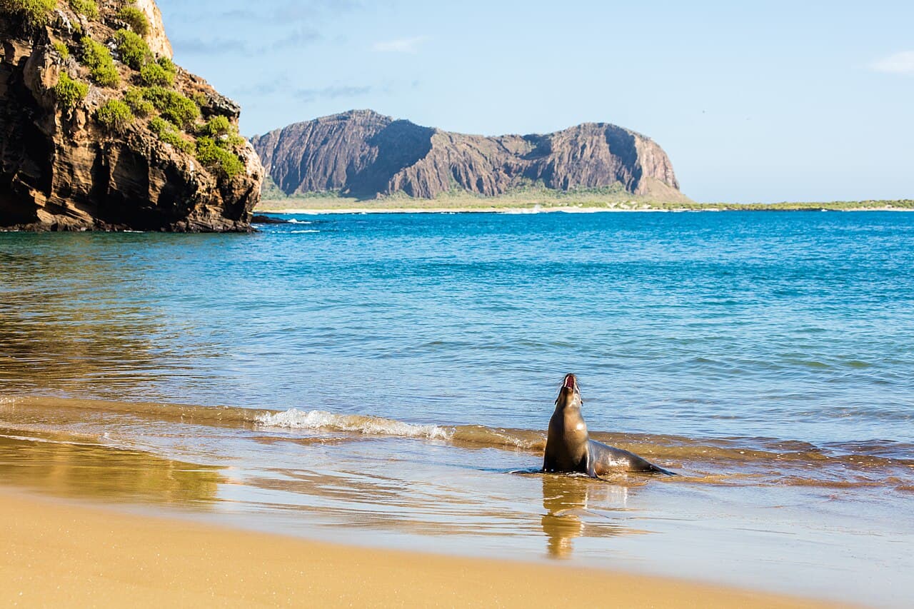 Viajes a Quito y Islas Galápagos en Mayo: Paquete Vuelo + Hotel Confirmado Desde $1130