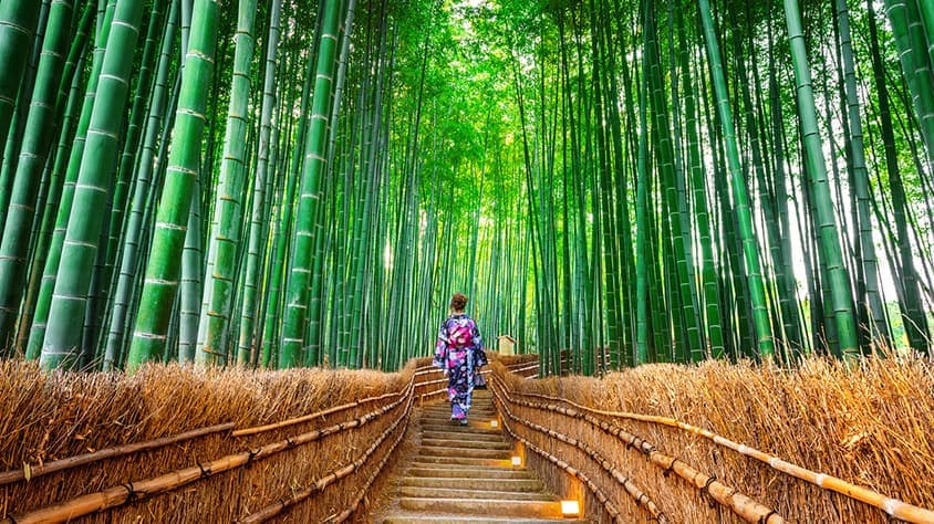 Paquete armado Triángulo Asiático: Corea, Japón y China