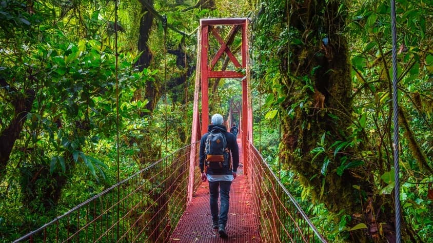 Paquetes armados a Monteverde en junio